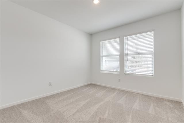 9104 Grackle Place - Photo 16