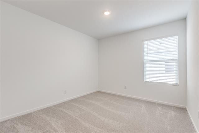 9104 Grackle Place - Photo 13