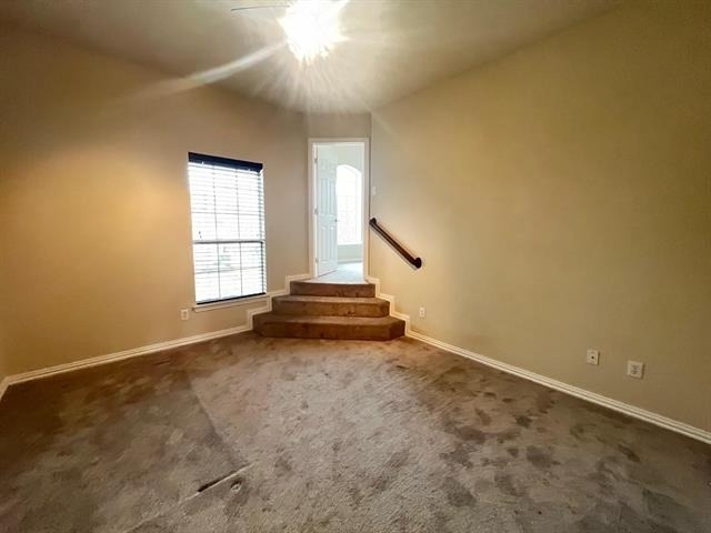 12637 Waltham Drive - Photo 7