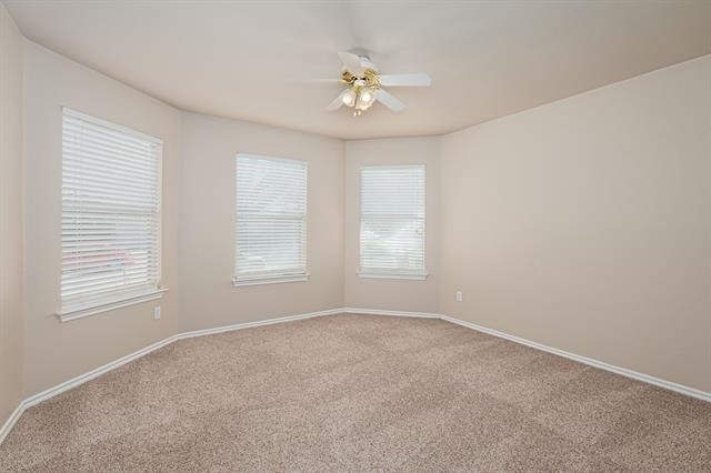 2503 Buckskin Drive - Photo 16
