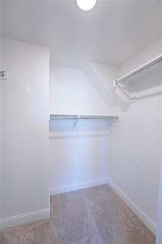 3208 Morris Lane - Photo 33
