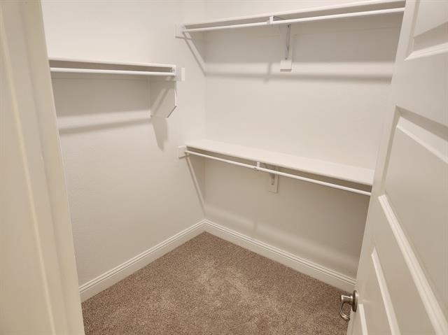3816 Oldham Road - Photo 16