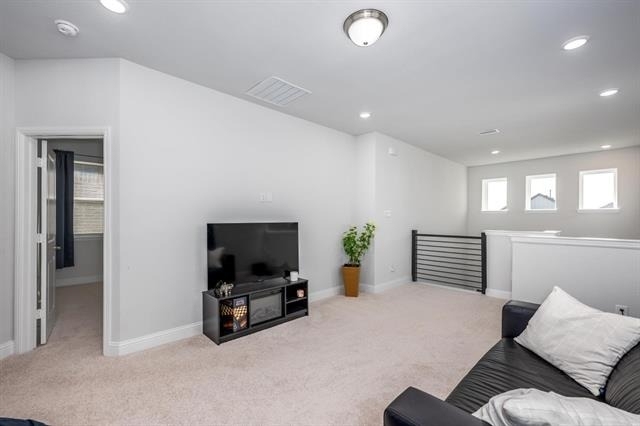 10646 Tall Timbers Trail - Photo 19
