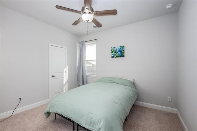 10646 Tall Timbers Trail - Photo 16