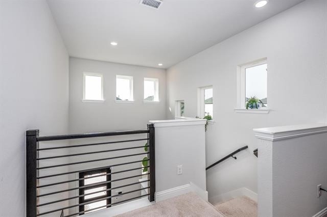 10646 Tall Timbers Trail - Photo 14