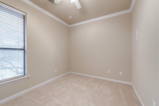 2420 Fawkes Lane - Photo 31
