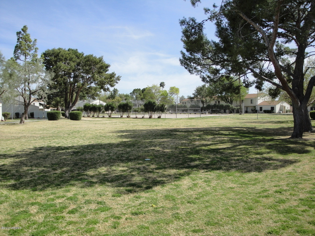 6523 S La Corta Drive - Photo 11