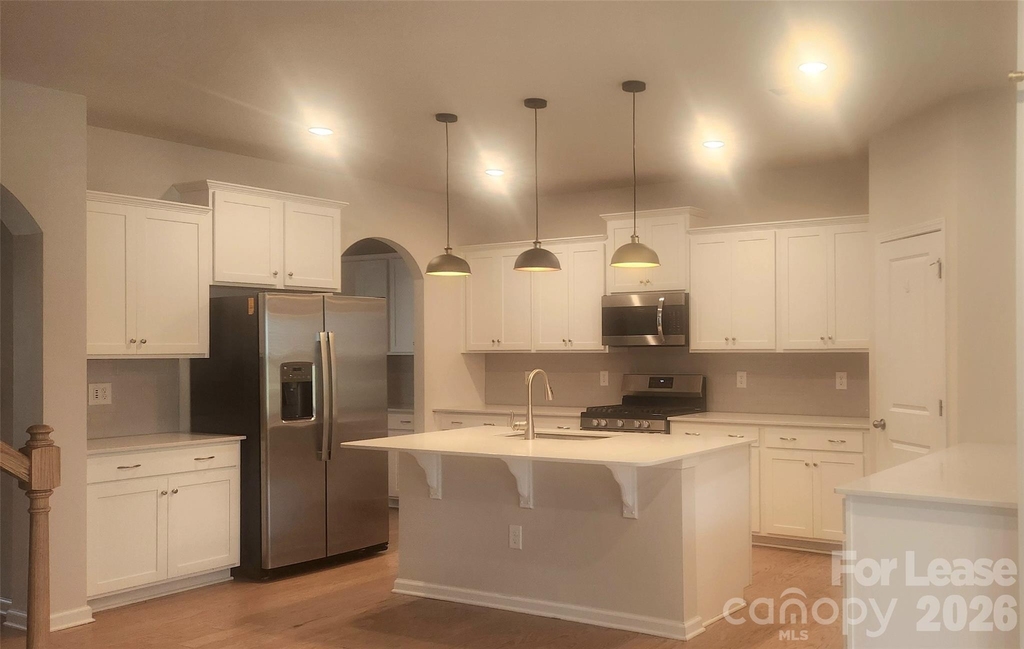 1009 Gabardine Lane - Photo 3