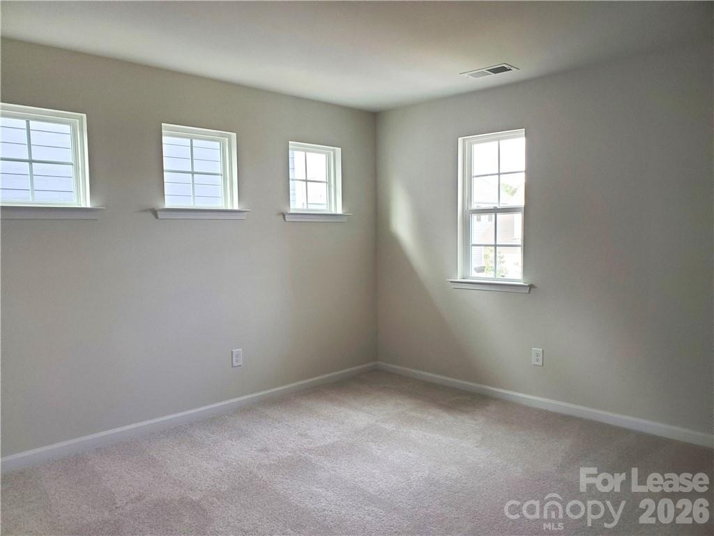 1009 Gabardine Lane - Photo 10