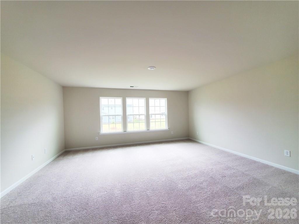 1009 Gabardine Lane - Photo 12