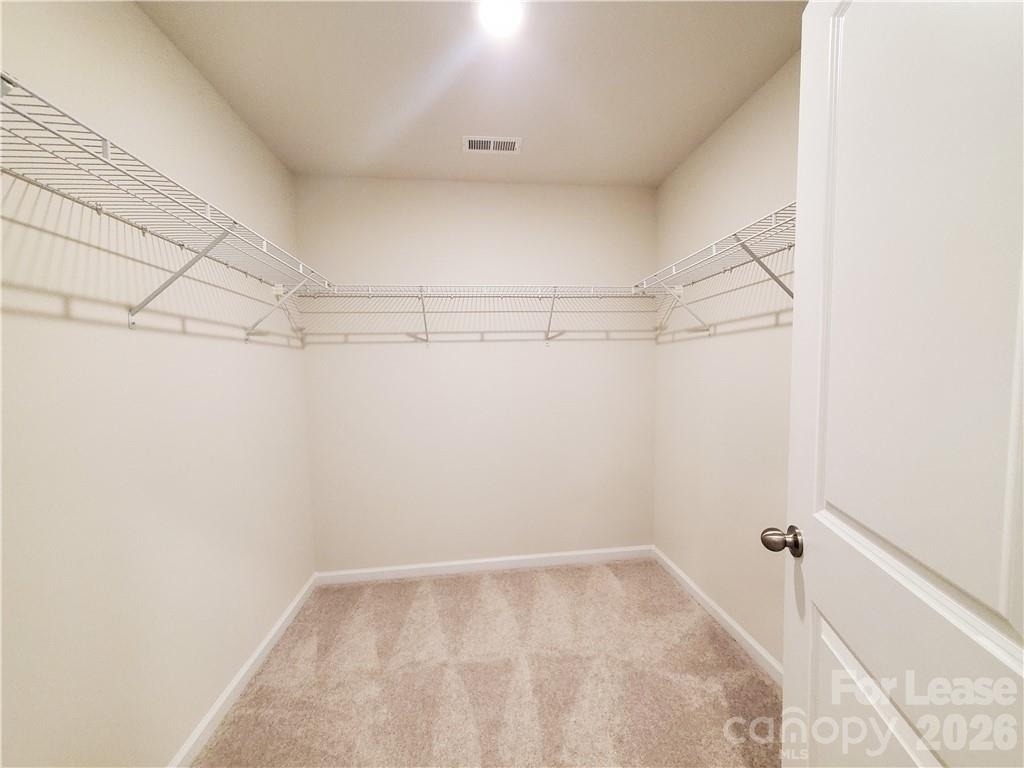1009 Gabardine Lane - Photo 15