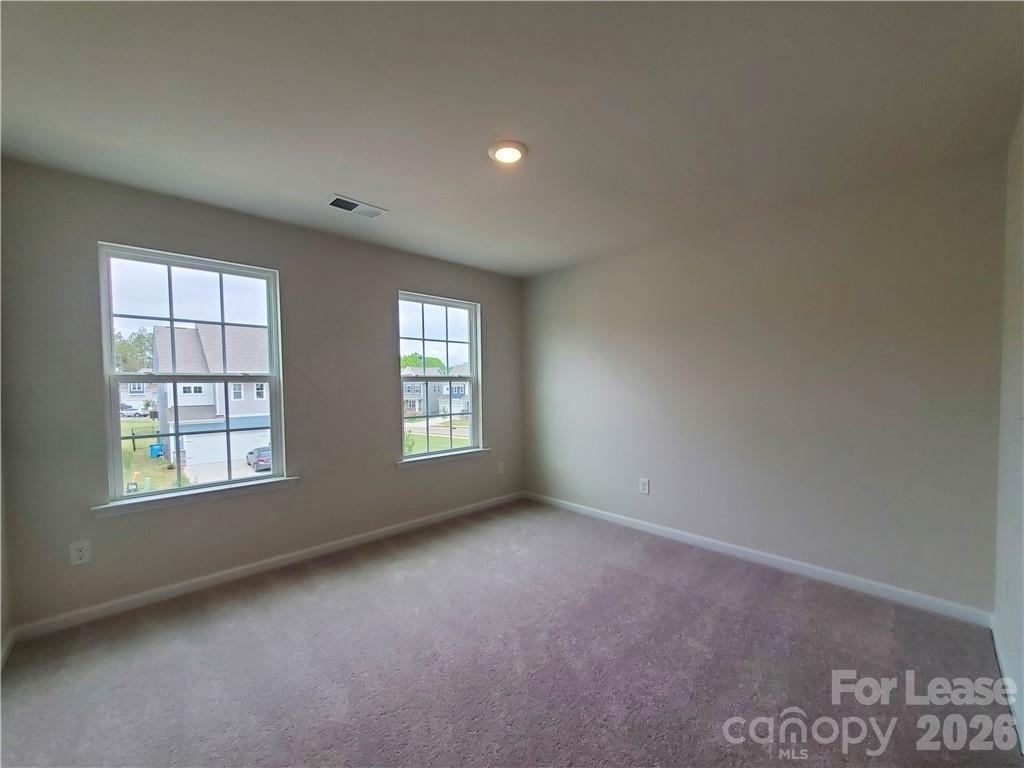 1009 Gabardine Lane - Photo 13