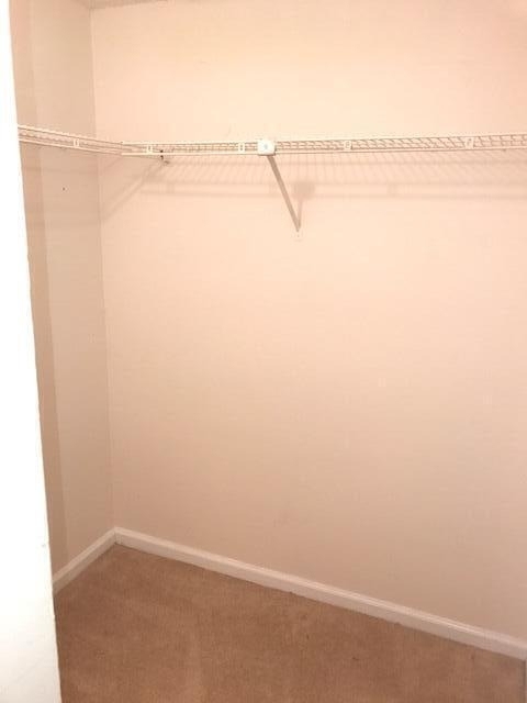 2650 Greenwood - Photo 10