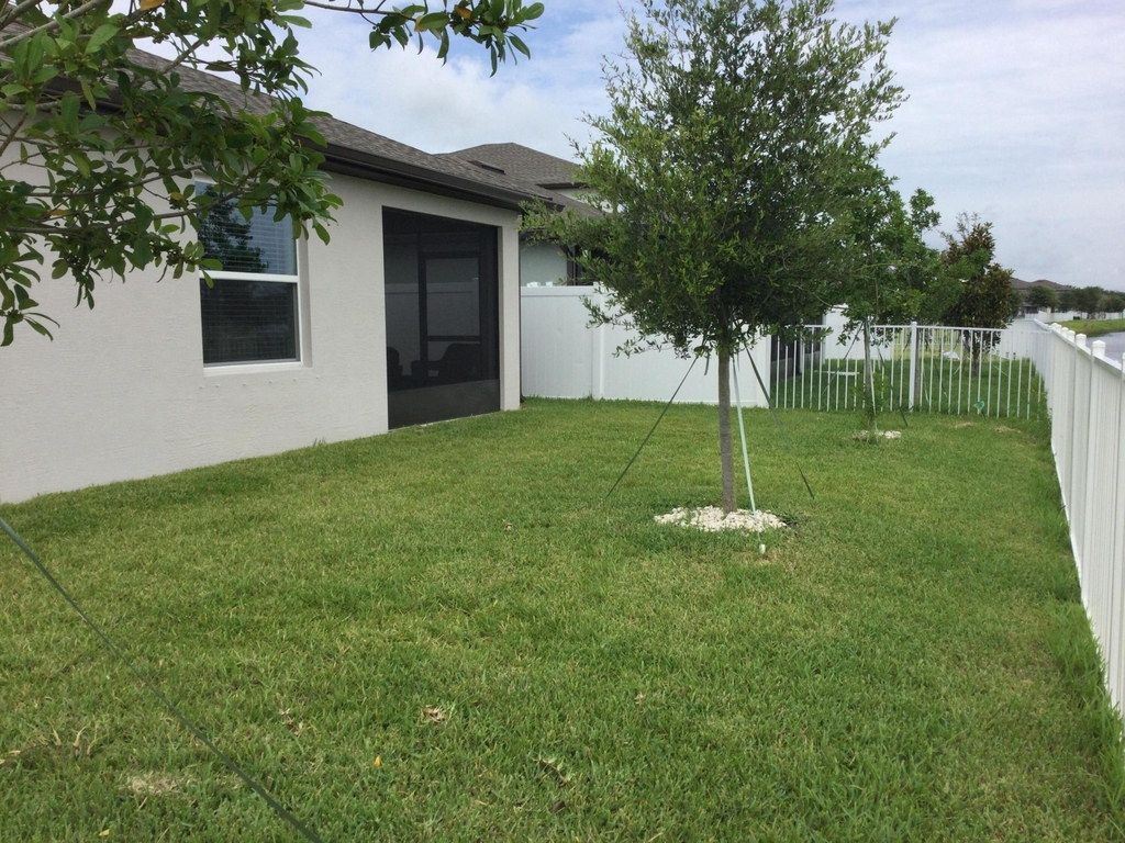 4955 Armina Place - Photo 21