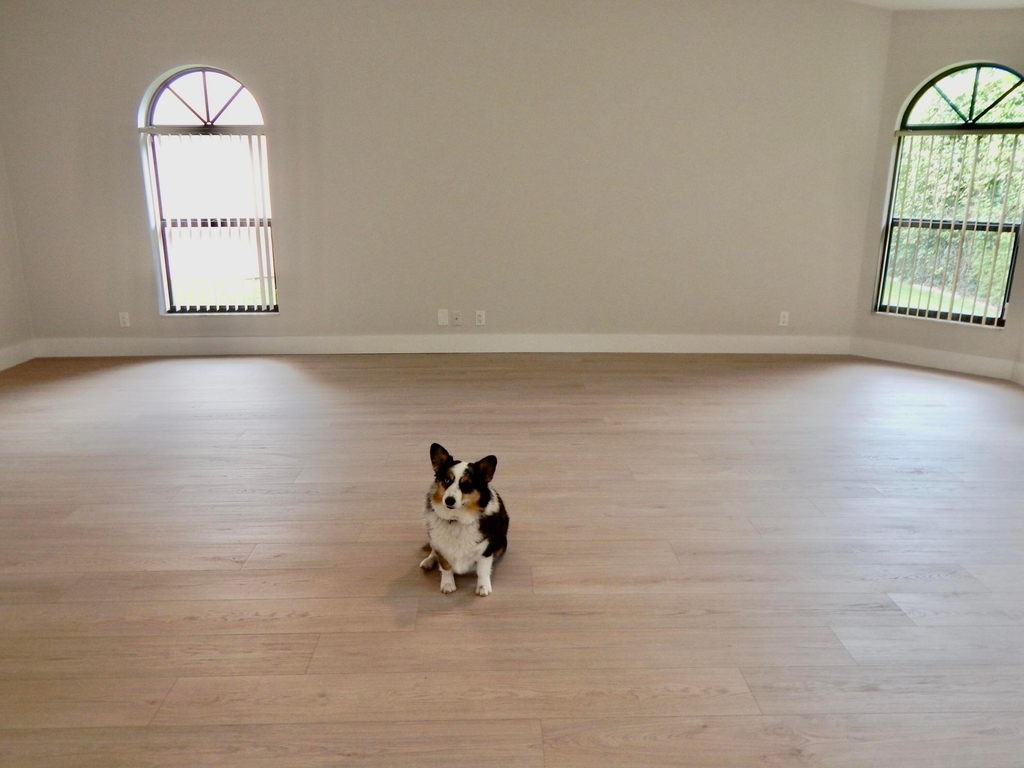 22864 Marbella Circle - Photo 6