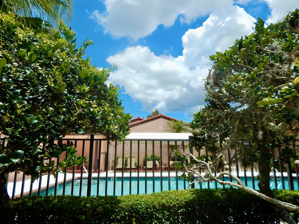 22864 Marbella Circle - Photo 46