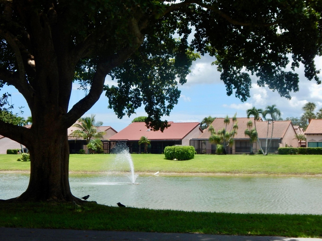 22864 Marbella Circle - Photo 39
