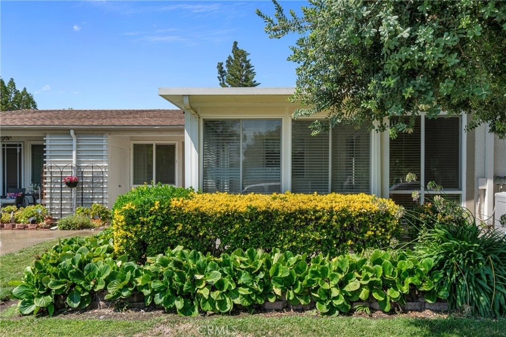 479 Calle Cadiz - Photo 1