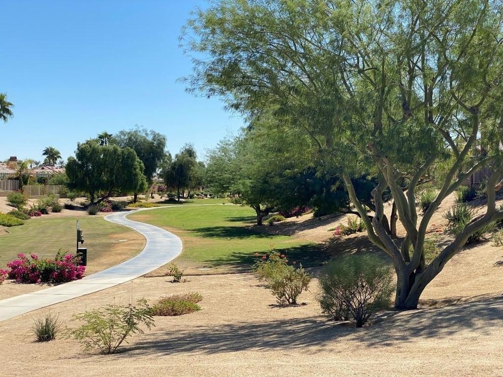 43419 Corte Del Oro - Photo 32