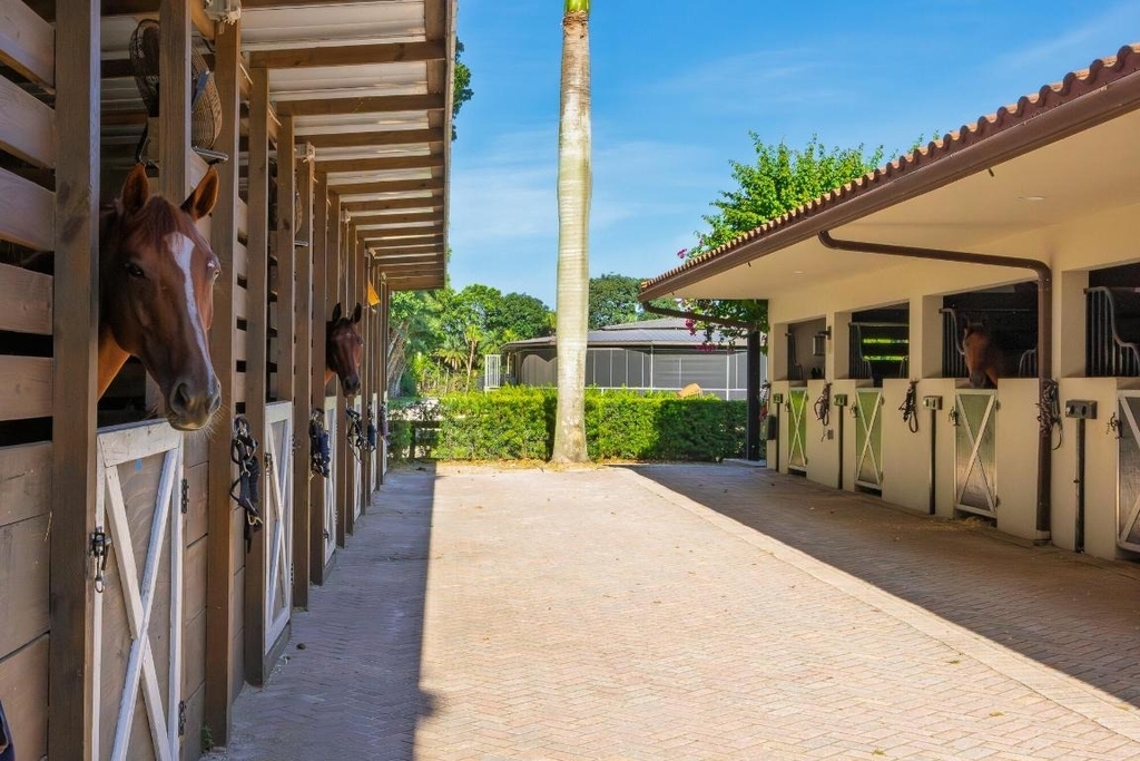 5420 Las Palmas Avenue - Photo 47
