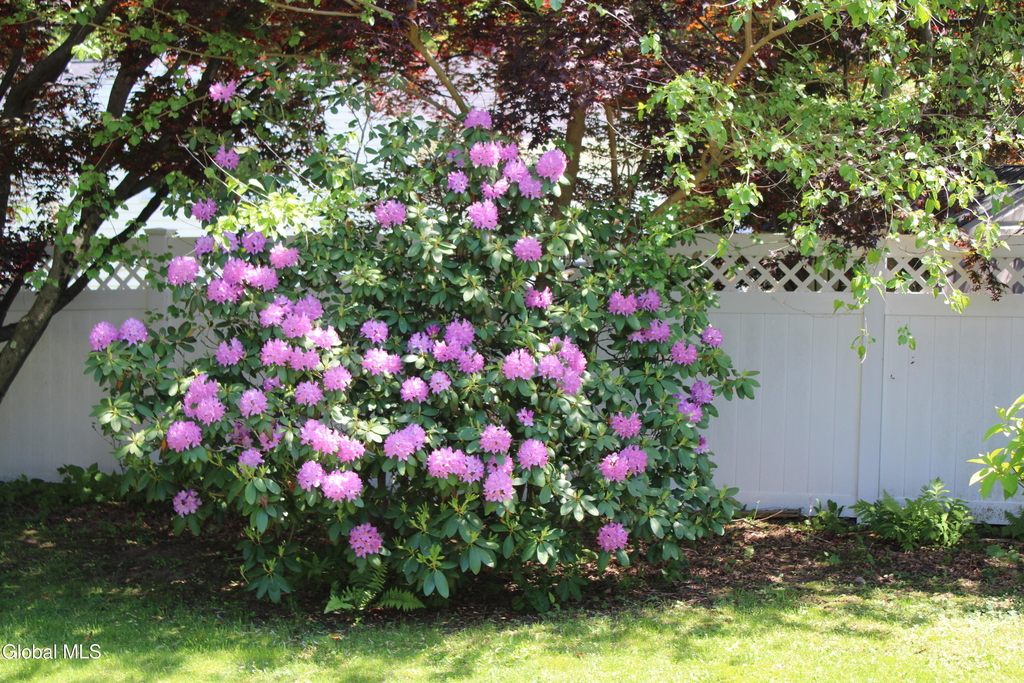 535 Dawson Road - Photo 31