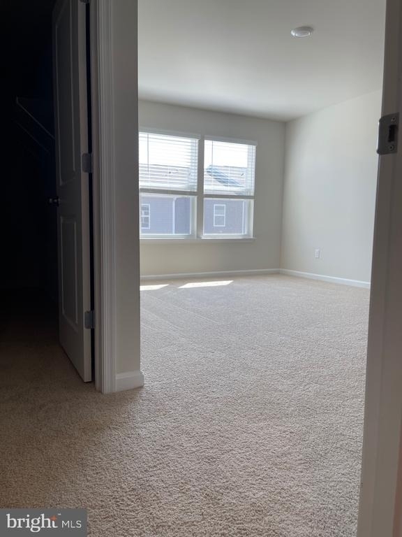 151 Tigney Drive - Photo 19