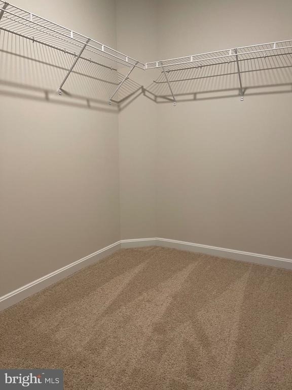 151 Tigney Drive - Photo 21