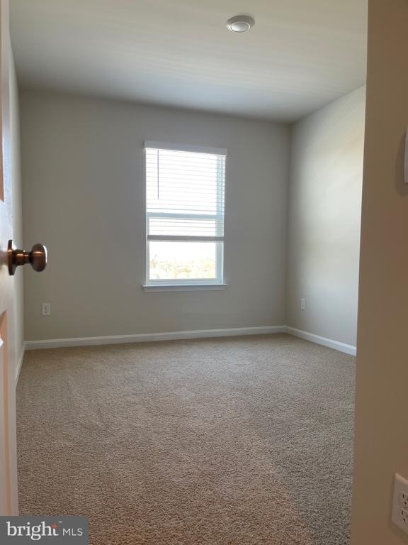 151 Tigney Drive - Photo 32