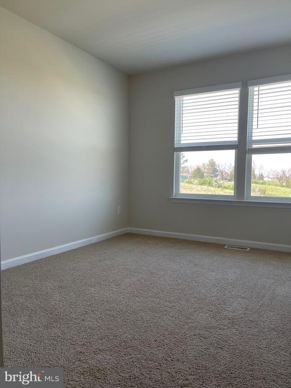 151 Tigney Drive - Photo 31