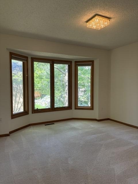 1261 Laurel View Drive - Photo 11