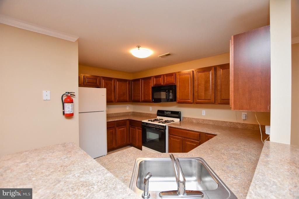 342 Nicholas - Photo 7