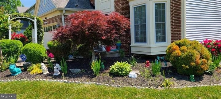 11601 Lighthouse Drive - Photo 2