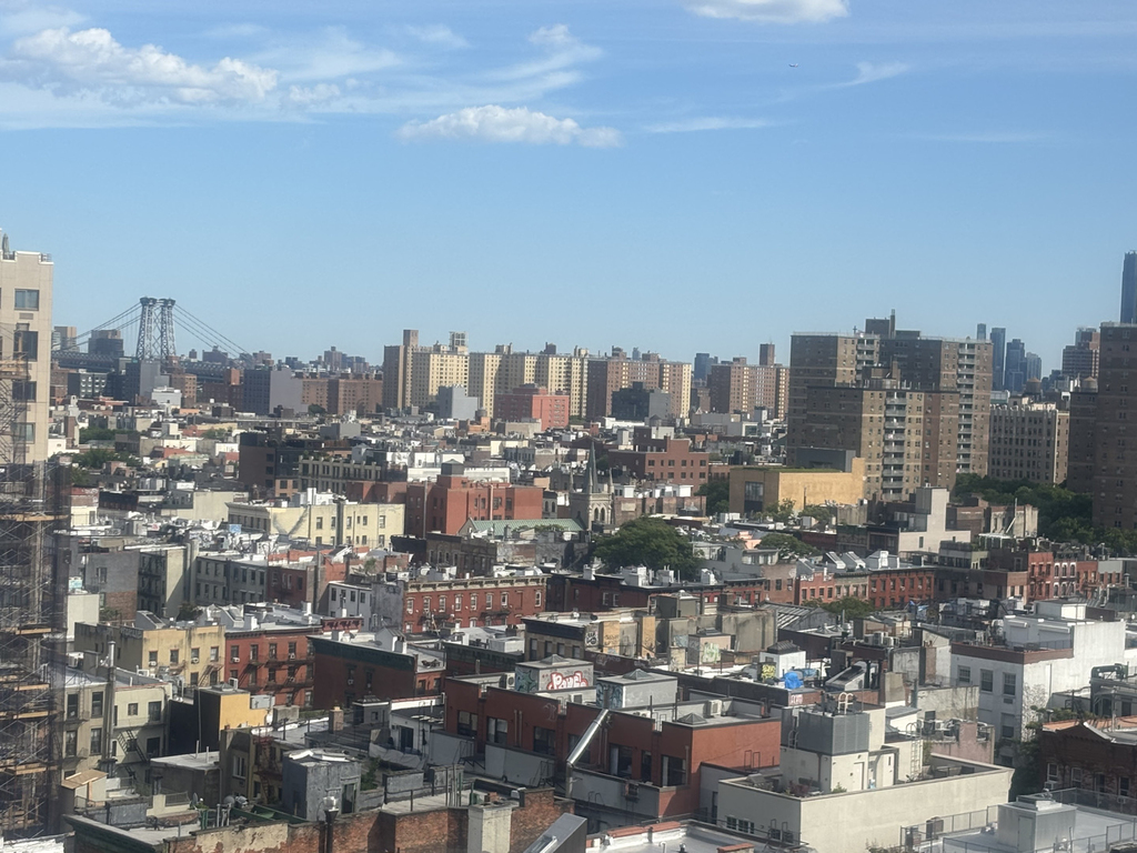 11th street and 2nd avenue - Photo 9