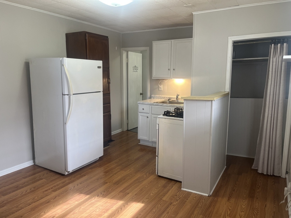 354 Spruce Street - Photo 1