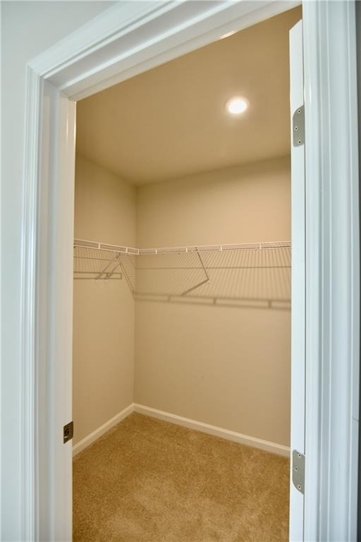 8421 Limerick Lane - Photo 24