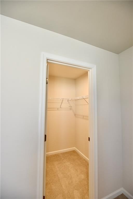 8421 Limerick Lane - Photo 25