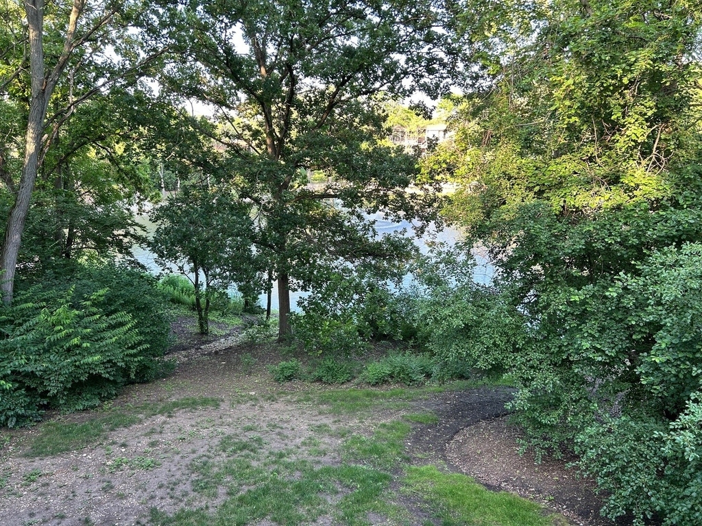 6019 Forest View Road - Photo 4