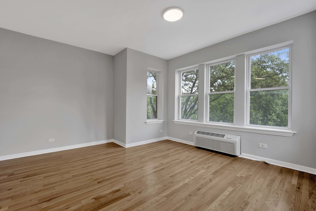 2456 N Hamlin Avenue - Photo 4