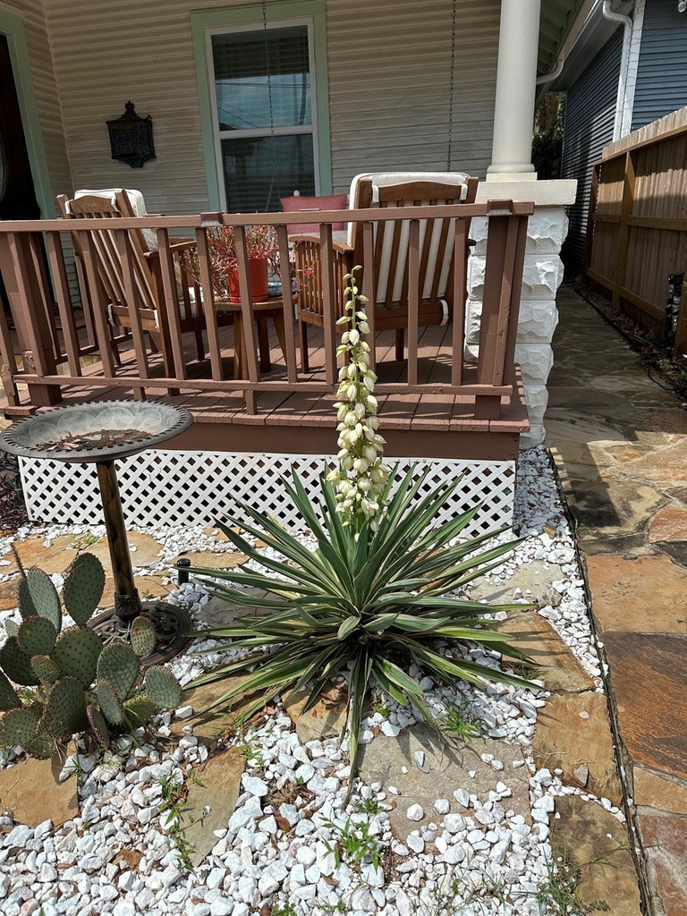 113 W 5th Street - Photo 6