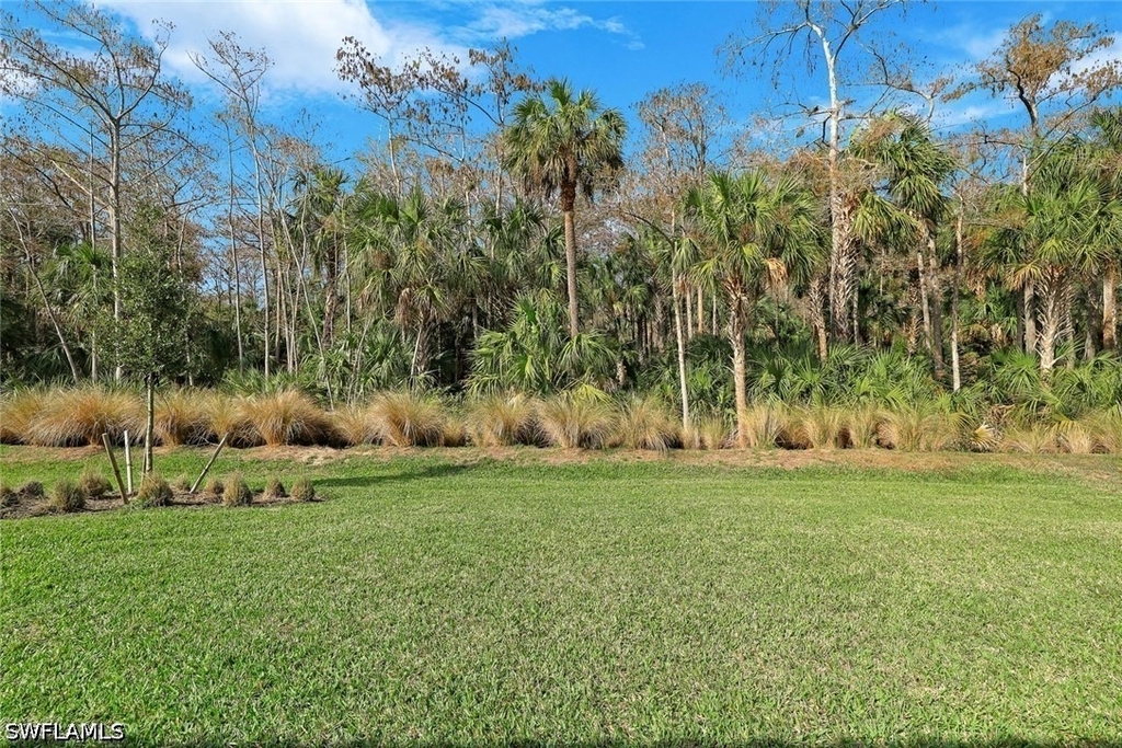 10439 Ventana Lane - Photo 24