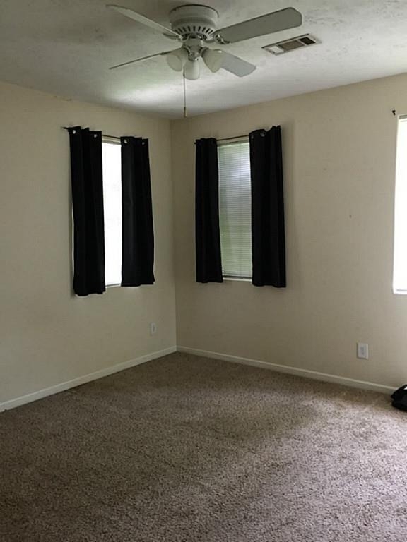 306 Bush Drive - Photo 11
