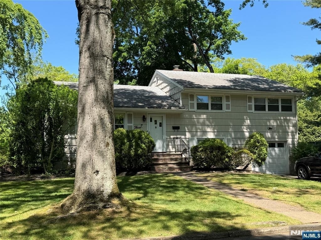 3 Spruce - Photo 1