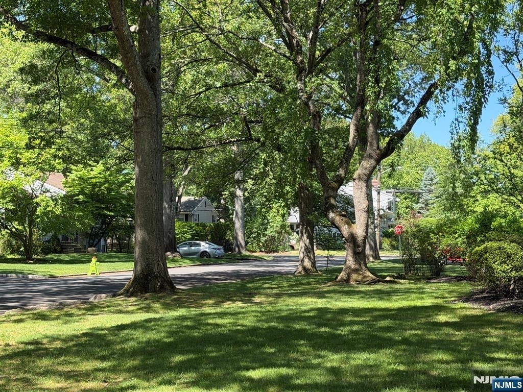 3 Spruce - Photo 19