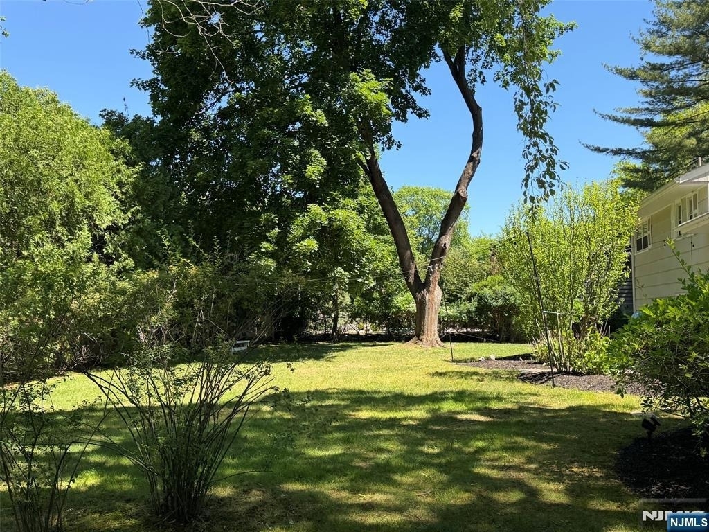 3 Spruce - Photo 21