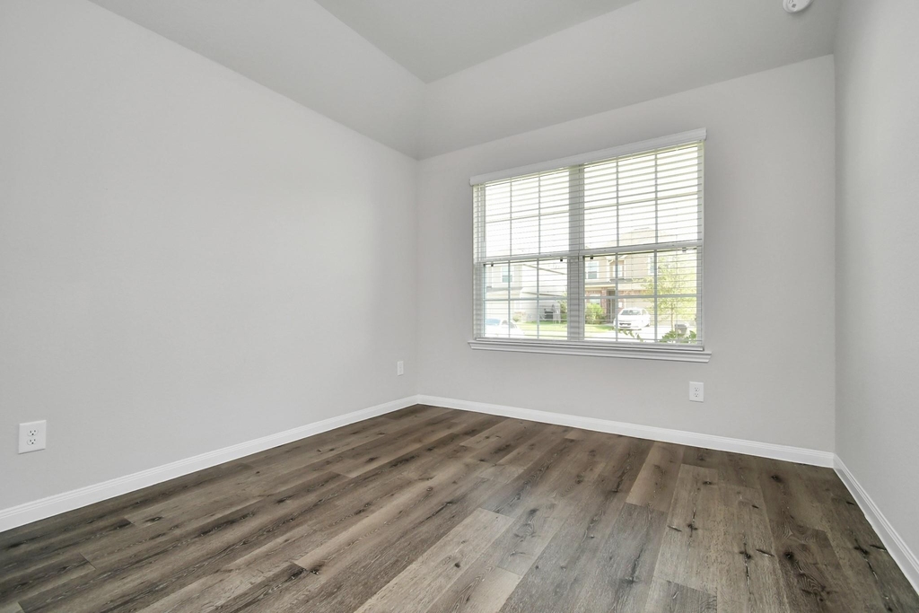 24807 Bastiani Canvas Lane - Photo 28