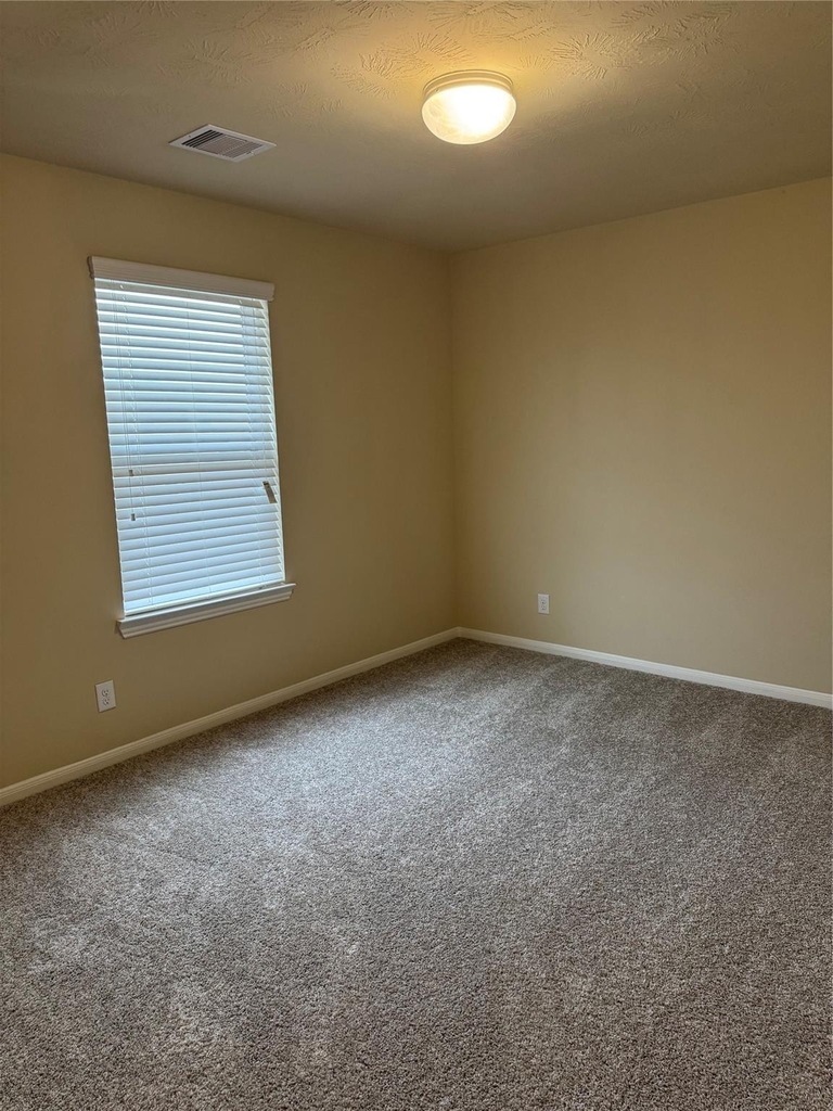 8127 Almera Falls - Photo 17