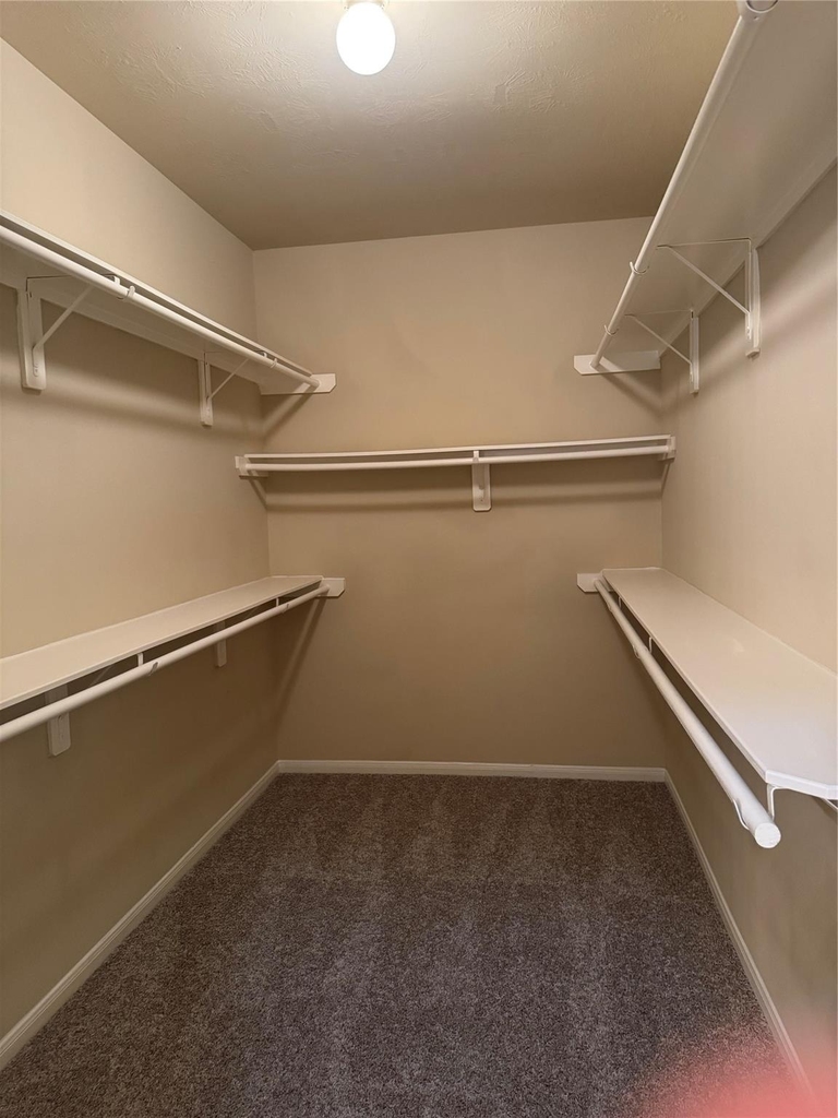 8127 Almera Falls - Photo 13
