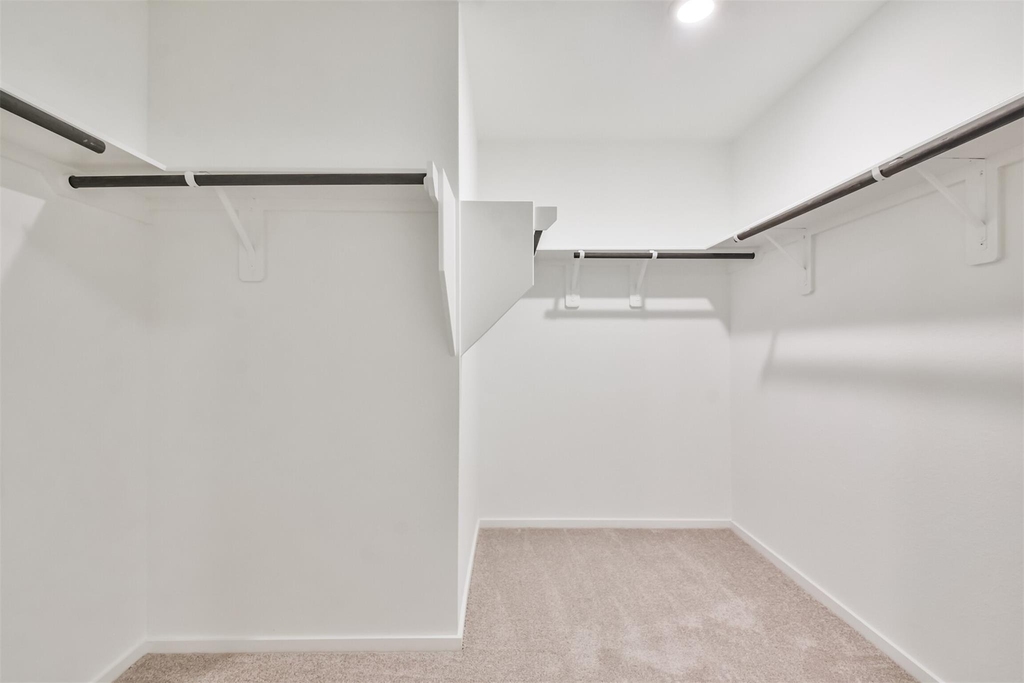 18562 Cepagatti Drive - Photo 14