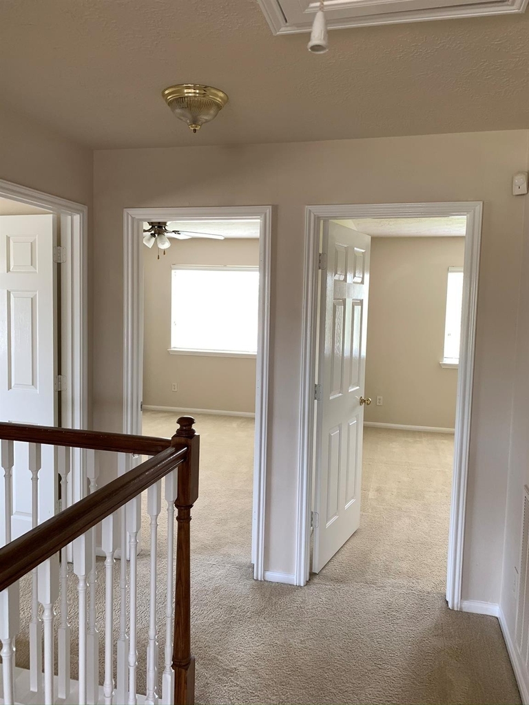 11010 Heron Nest Street - Photo 8