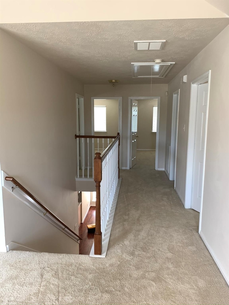 11010 Heron Nest Street - Photo 7